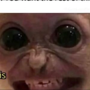 Meet your Posher, Gabby